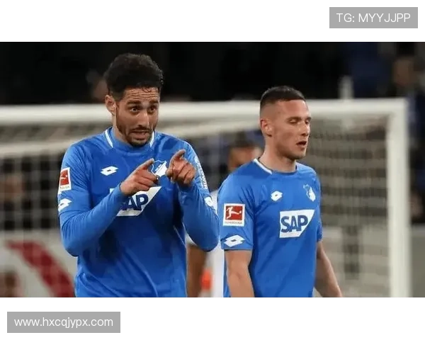 霍芬海姆与后卫卡巴克达成长期续约 霍芬海姆与后卫卡巴克达成长期续约